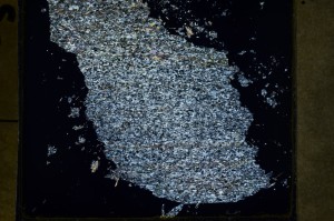 Cross Polarized, S69110