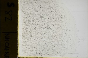 Plane Polarized, S69111