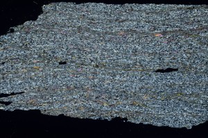 Cross Polarized, S69112