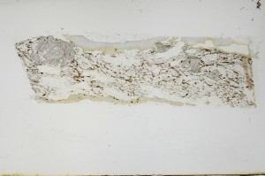 Plane Polarized, S69113