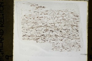 Plane Polarized, S69114