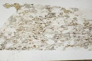 Plane Polarized, S69115