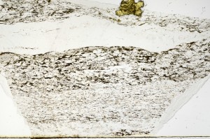 Plane Polarized, S69119