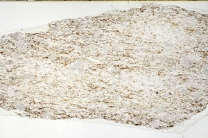 Plane Polarized, S69133