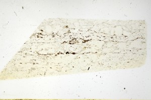 Plane Polarized, S69134