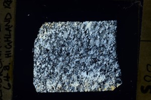 Cross Polarized, S69139