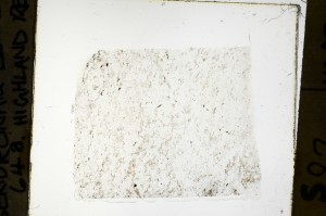 Plane Polarized, S69139