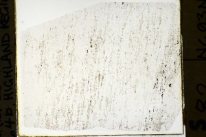 Plane Polarized, S69140