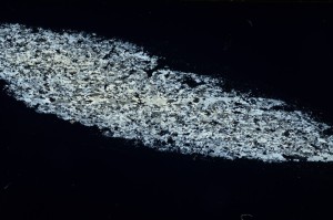 Cross Polarized, S69143