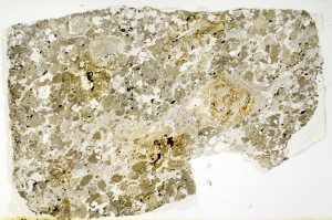 Plane Polarized, S69144