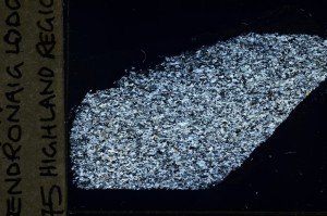 Cross Polarized, S69145