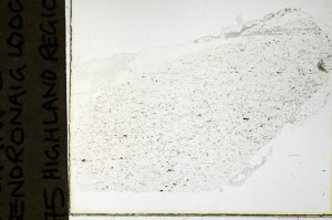 Plane Polarized, S69145