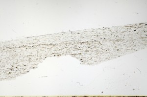 Plane Polarized, S69146