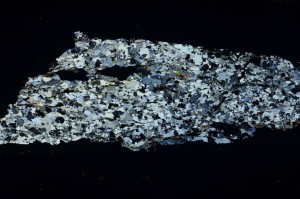 Cross Polarized, S69149