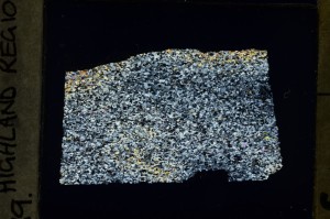 Cross Polarized, S69151/A