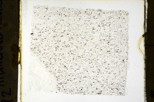 Plane Polarized, S69153