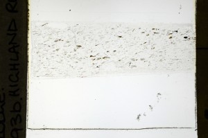 Plane Polarized, S69155