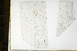 Plane Polarized, S69156