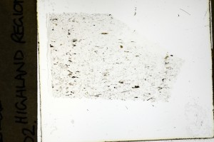 Plane Polarized, S69159