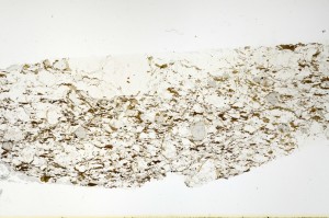 Plane Polarized, S69161