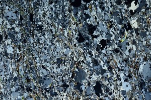 Cross Polarized, S69163