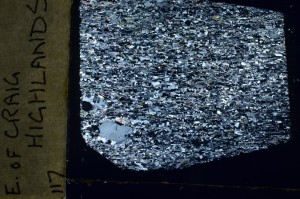 Cross Polarized, S69165