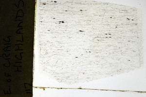 Plane Polarized, S69165