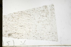 Plane Polarized, S69167