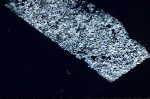 Cross Polarized, S69168