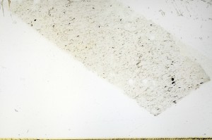 Plane Polarized, S69168