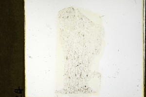 Plane Polarized, S69170