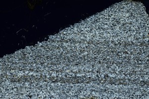 Cross Polarized, S69172