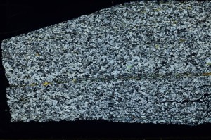 Cross Polarized, S69174