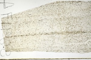 Plane Polarized, S69174