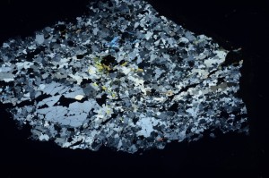 Cross Polarized, S69177