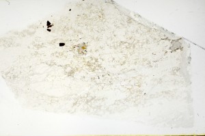 Plane Polarized, S69177