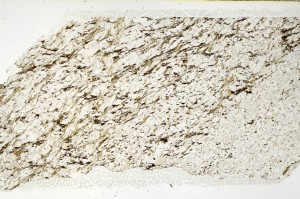 Plane Polarized, S69178