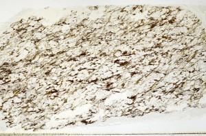 Plane Polarized, S69179