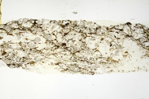 Plane Polarized, S69180