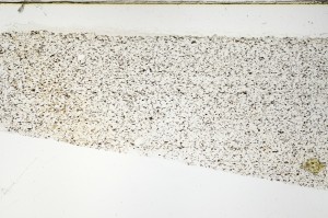 Plane Polarized, S69187