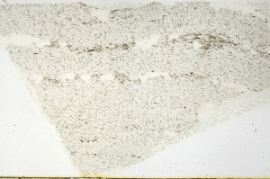 Plane Polarized, S69197
