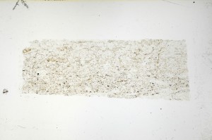 Plane Polarized, S69201