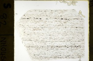 Plane Polarized, S69213