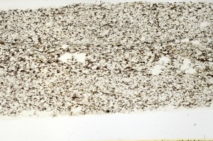 Plane Polarized, S69220