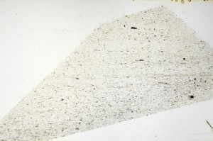 Plane Polarized, S69225
