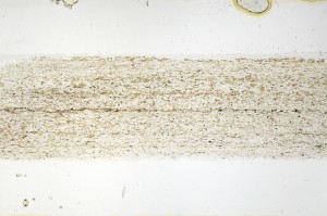 Plane Polarized, S69226