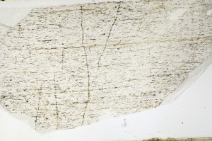 Plane Polarized, S69228