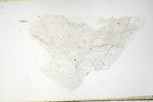 Plane Polarized, S69229