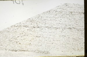 Plane Polarized, S69231