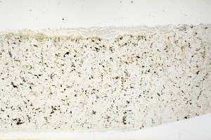 Plane Polarized, S69232